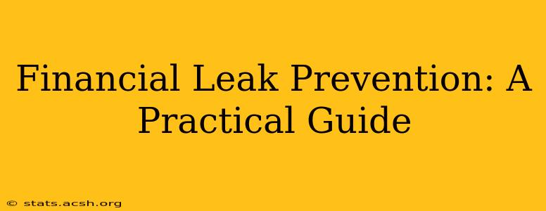 Financial Leak Prevention: A Practical Guide