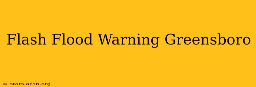 Flash Flood Warning Greensboro