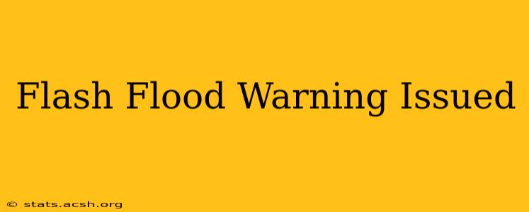 Flash Flood Warning Issued