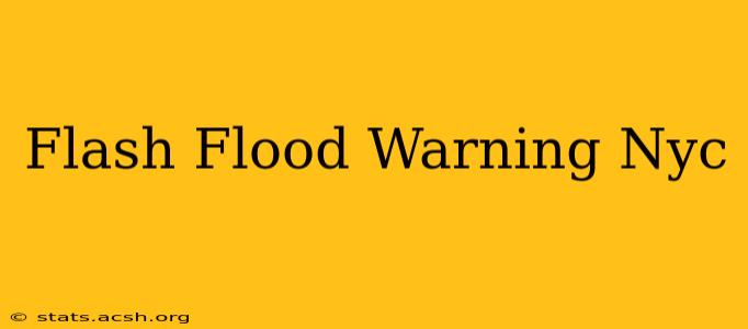 Flash Flood Warning Nyc