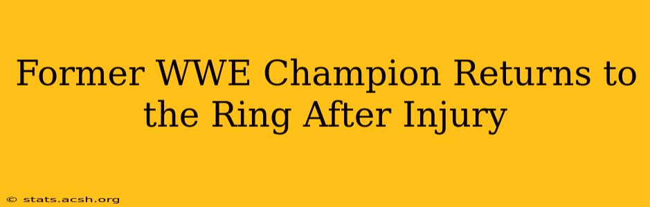 Former WWE Champion Returns to the Ring After Injury