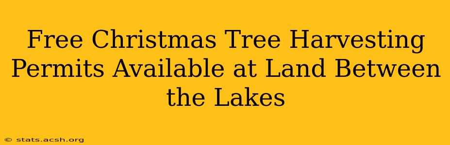 Free Christmas Tree Harvesting Permits Available at Land Between the Lakes