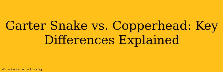 Garter Snake vs. Copperhead: Key Differences Explained