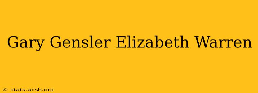 Gary Gensler Elizabeth Warren