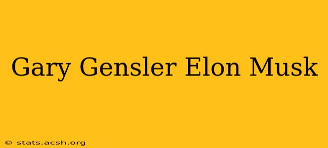 Gary Gensler Elon Musk