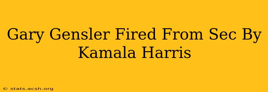 Gary Gensler Fired From Sec By Kamala Harris