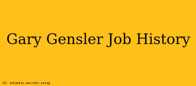 Gary Gensler Job History