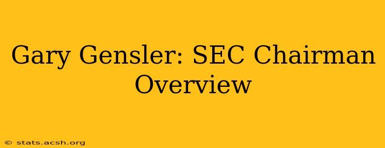 Gary Gensler: SEC Chairman Overview