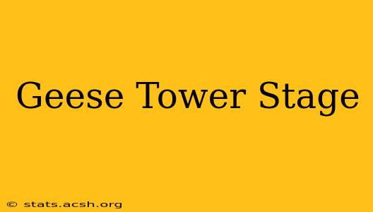 Geese Tower Stage