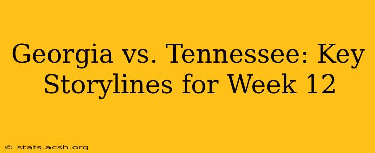 Georgia vs. Tennessee: Key Storylines for Week 12