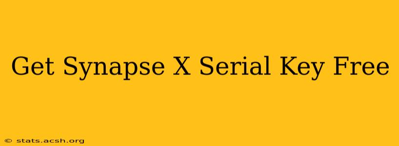 Get Synapse X Serial Key Free