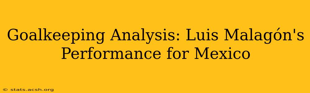 Goalkeeping Analysis: Luis Malagón's Performance for Mexico