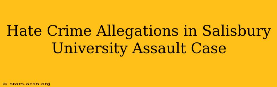 Hate Crime Allegations in Salisbury University Assault Case