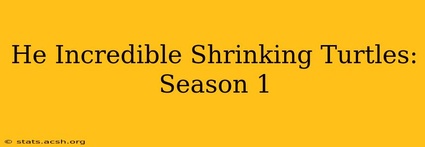 He Incredible Shrinking Turtles: Season 1