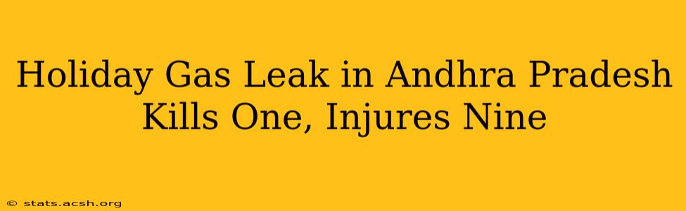 Holiday Gas Leak in Andhra Pradesh Kills One, Injures Nine