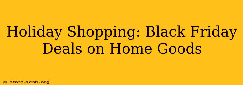 Holiday Shopping: Black Friday Deals on Home Goods