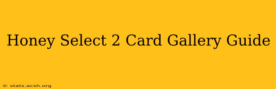 Honey Select 2 Card Gallery Guide