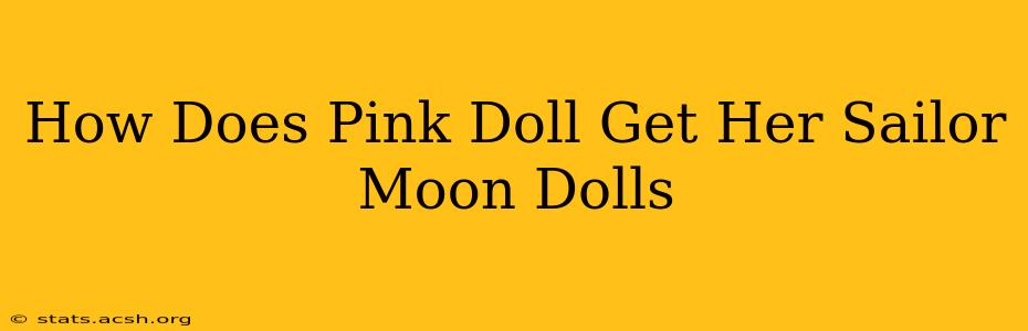 How Does Pink Doll Get Her Sailor Moon Dolls