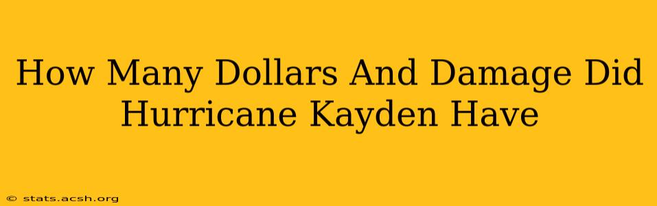 How Many Dollars And Damage Did Hurricane Kayden Have