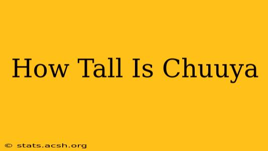 How Tall Is Chuuya