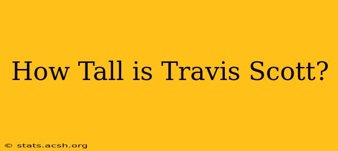 How Tall is Travis Scott?