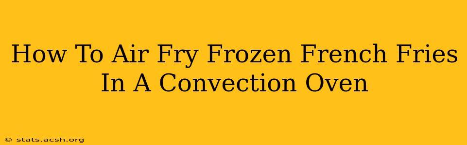 How To Air Fry Frozen French Fries In A Convection Oven