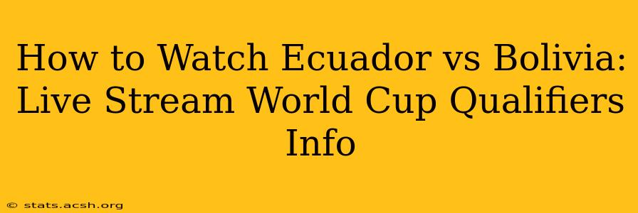 How to Watch Ecuador vs Bolivia: Live Stream World Cup Qualifiers Info