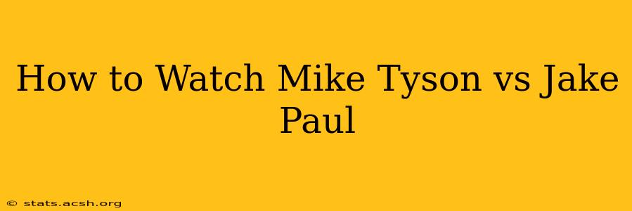 How to Watch Mike Tyson vs Jake Paul