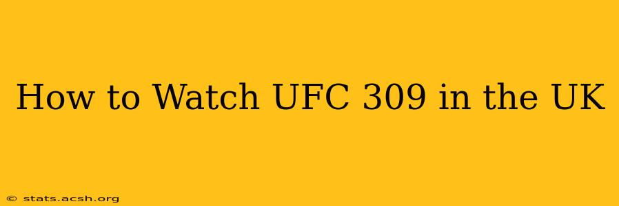 How to Watch UFC 309 in the UK