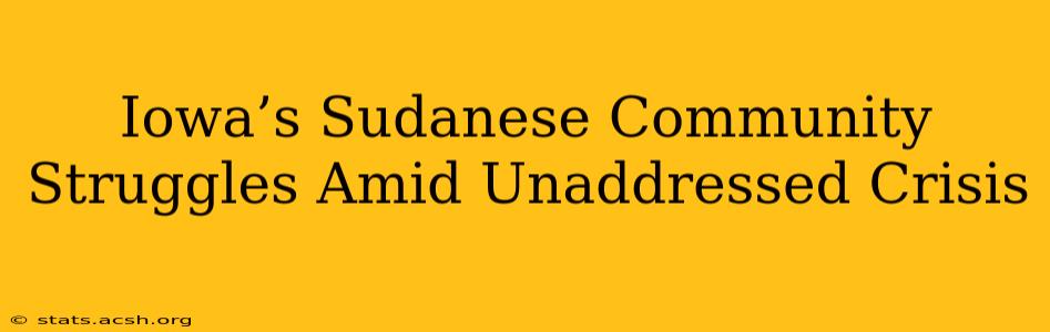 Iowa’s Sudanese Community Struggles Amid Unaddressed Crisis