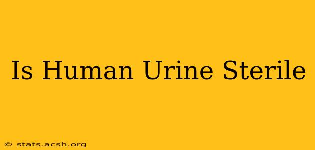 Is Human Urine Sterile