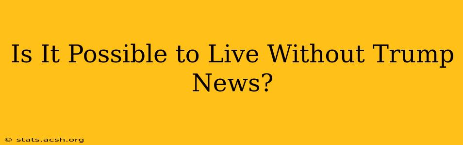 Is It Possible to Live Without Trump News?