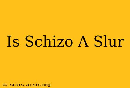 Is Schizo A Slur