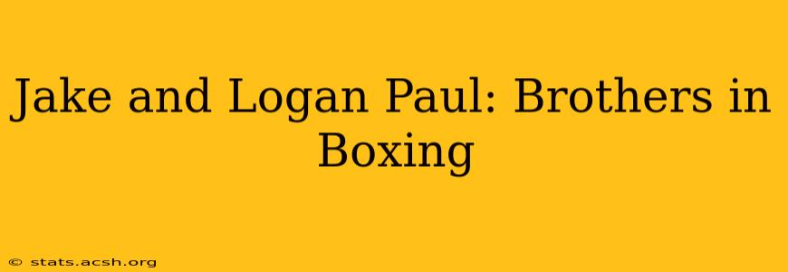 Jake and Logan Paul: Brothers in Boxing