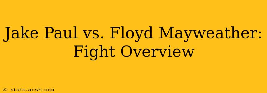 Jake Paul vs. Floyd Mayweather: Fight Overview