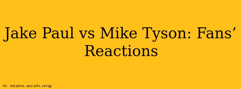 Jake Paul vs Mike Tyson: Fans’ Reactions