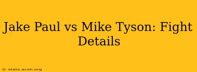 Jake Paul vs Mike Tyson: Fight Details