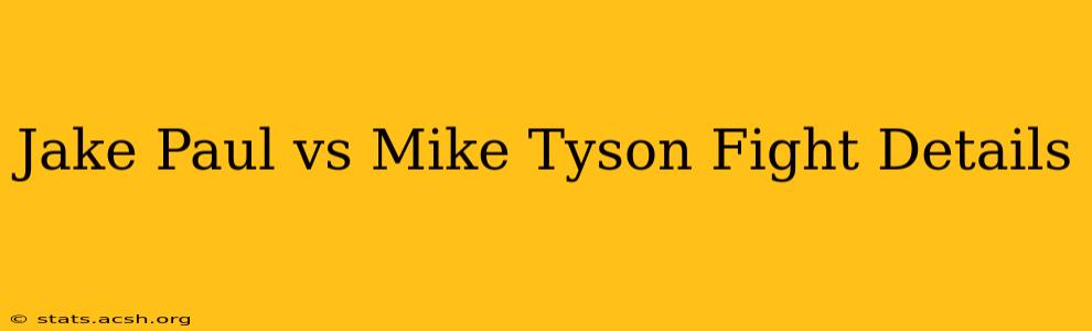 Jake Paul vs Mike Tyson Fight Details