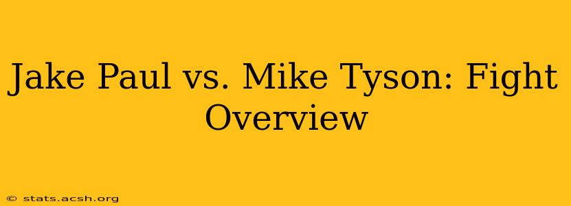 Jake Paul vs. Mike Tyson: Fight Overview