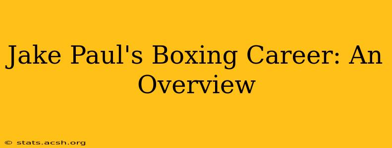 Jake Paul's Boxing Career: An Overview