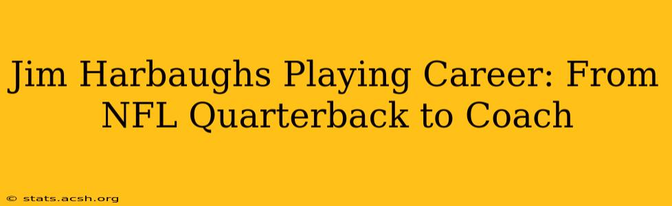 Jim Harbaughs Playing Career: From NFL Quarterback to Coach