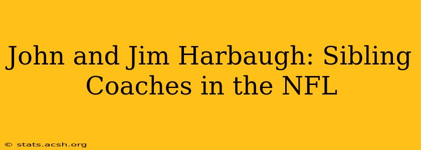 John and Jim Harbaugh: Sibling Coaches in the NFL