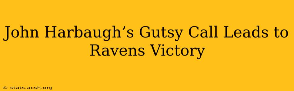 John Harbaugh’s Gutsy Call Leads to Ravens Victory