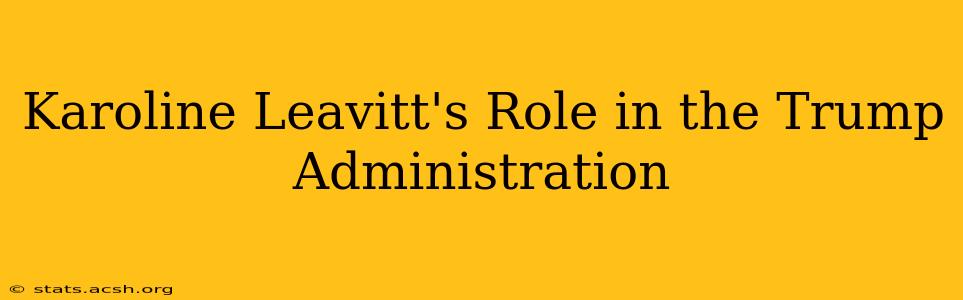 Karoline Leavitt's Role in the Trump Administration