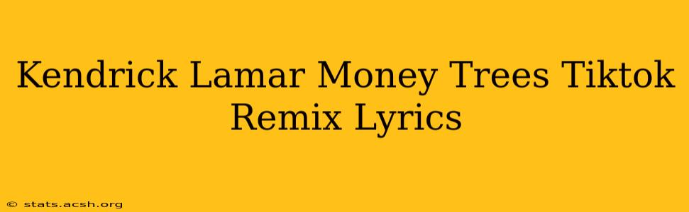 Kendrick Lamar Money Trees Tiktok Remix Lyrics