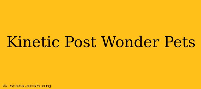 Kinetic Post Wonder Pets