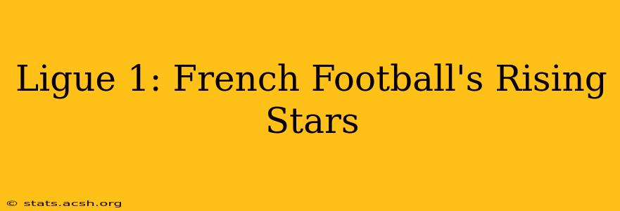 Ligue 1: French Football's Rising Stars