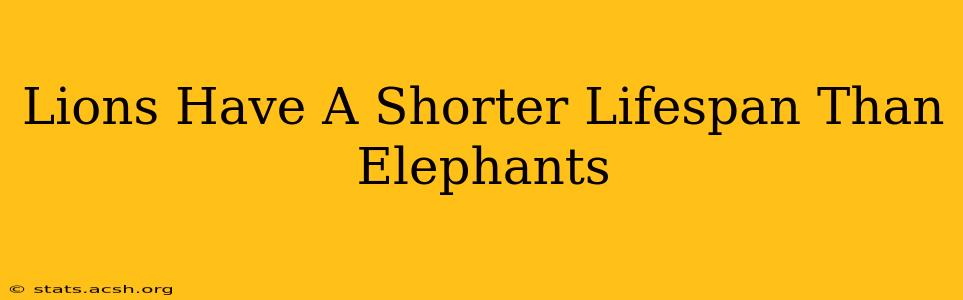 Lions Have A Shorter Lifespan Than Elephants