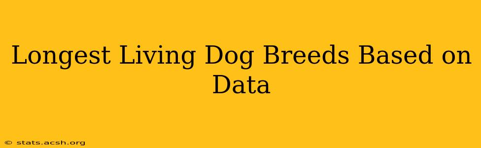 Longest Living Dog Breeds Based on Data