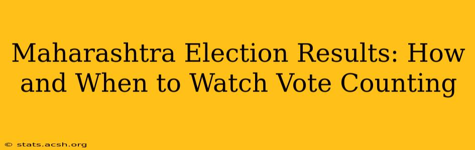 Maharashtra Election Results: How and When to Watch Vote Counting